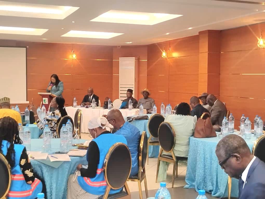 SERVITAS Cameroon - Atelier Elaboration SNDDL Littoral - Mai 2026 (11)