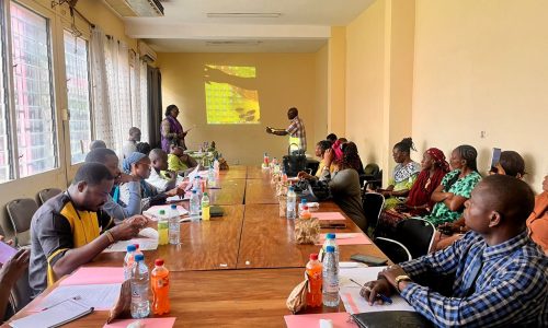 SERVITAS Cameroon - 2ème réunion Minddevel et OSC du Wouri 17-06-2026 (1)