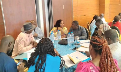 SERVITAS Cameroon - Atelier Elaboration SNDDL Littoral - Mai 2026 (5)